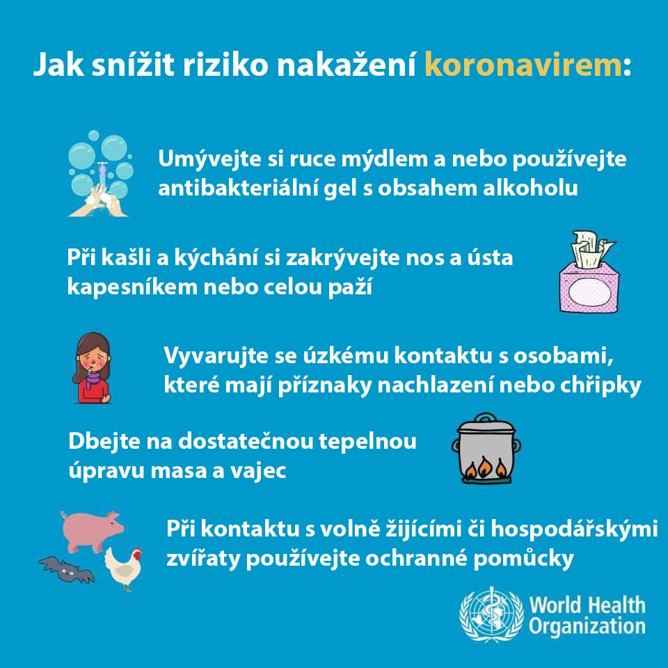 2020_Koronavirus