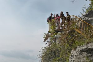 2016_dendr_06