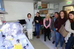 2017_BIOCEV_03