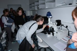 2017_BIOCEV_13