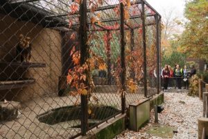 2017_ZOO_08