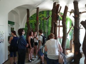 2018_Bartošovice_03