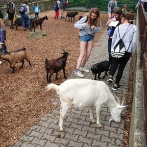 2018_ZOO_04