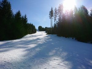 2019_Lyžák_01