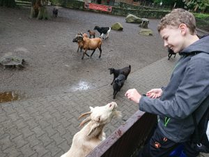 2019_ZOO_04