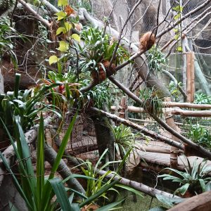 2019_ZOO_06