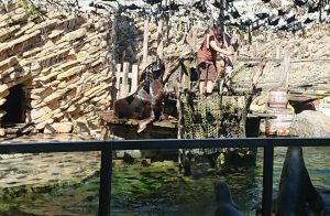 2019_ZOO_Lešná_01