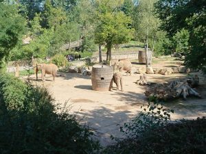 2019_ZOO_Lešná_04