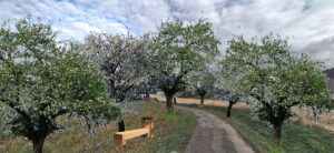 vizualizace po realizaci