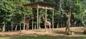 2021-09_ZOO_Lešná_02