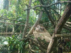 2021-09_ZOO_Lešná_03