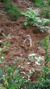 2021-09_ZOO_Lešná_05