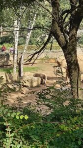 2021-09_ZOO_Lešná_08