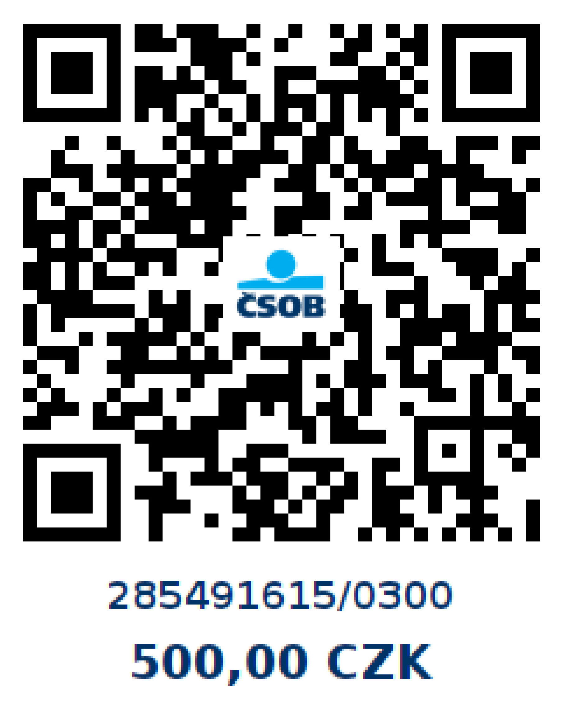2024-11_QR kód